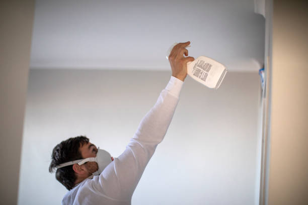 Best Attic Mold Removal  in Jackson, KY