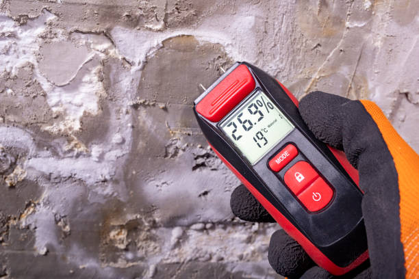 Best Mold Removal and Inspection  in Jackson, KY