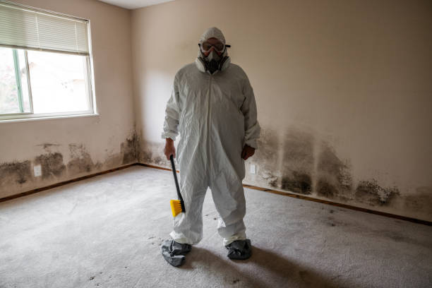 Reliable Jackson, KY Mold Removal Solutions